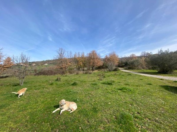 rudere in vendita a Perdifumo