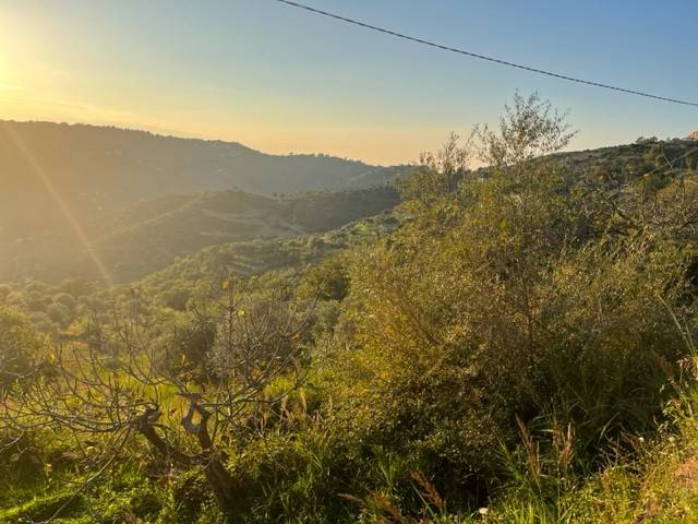 terreno agricolo in vendita a Perdifumo