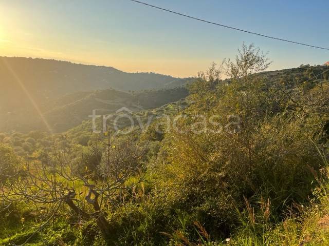 terreno agricolo in vendita a Perdifumo