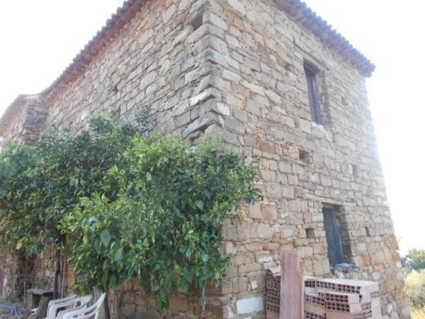 esavano in vendita a Perdifumo in zona Vatolla