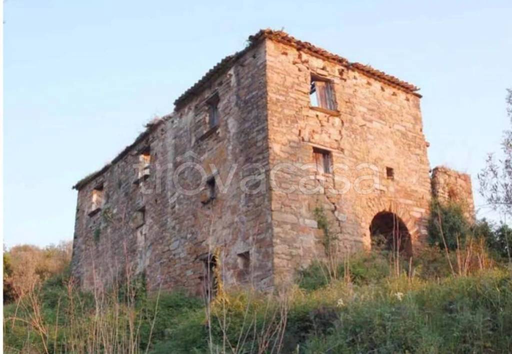 terreno agricolo in vendita a Perdifumo in zona Vatolla