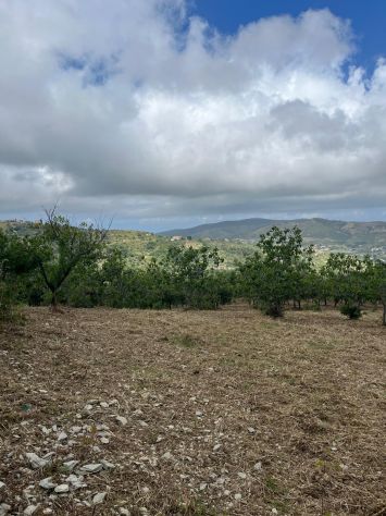 terreno agricolo in vendita a Perdifumo in zona Vatolla