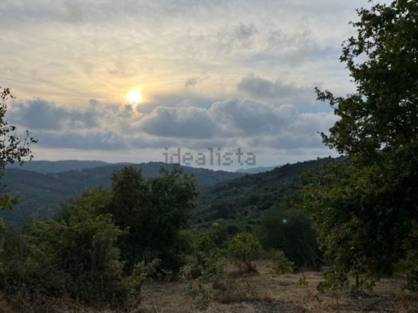 terreno edificabile in vendita a Perdifumo in zona Vatolla