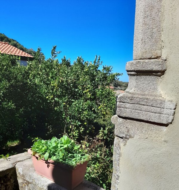 appartamento in vendita a Perdifumo