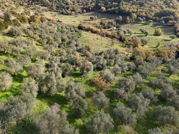 casa indipendente in vendita a Perdifumo