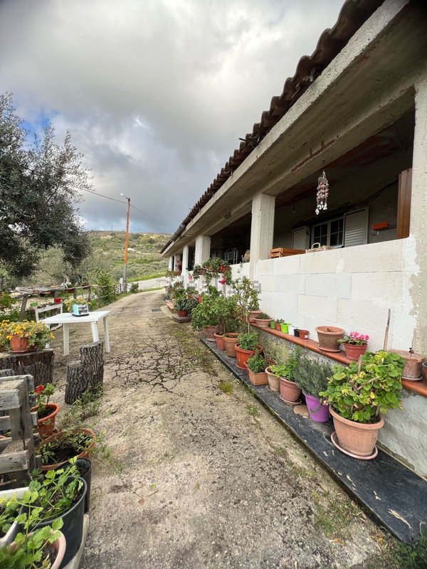 casa indipendente in vendita a Perdifumo in zona Vatolla