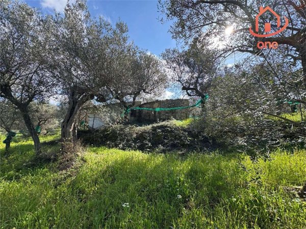 appartamento in vendita a Perdifumo in zona Vatolla