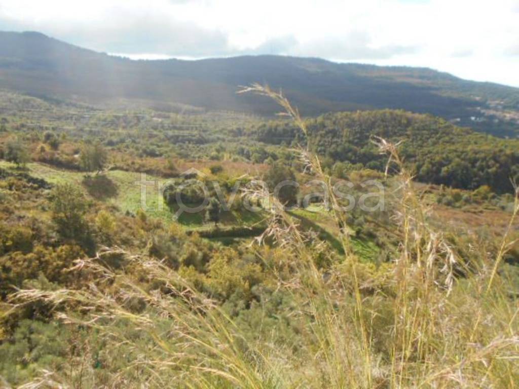 terreno agricolo in vendita a Perdifumo in zona Mercato Cilento