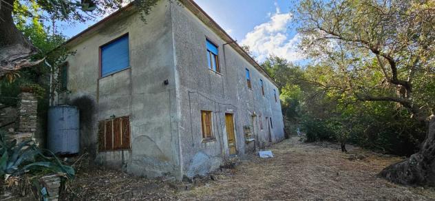 quadrivano in vendita a Perdifumo