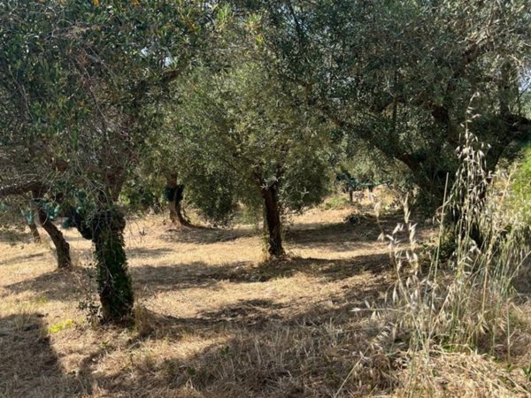 terreno edificabile in vendita a Perdifumo in zona Vatolla