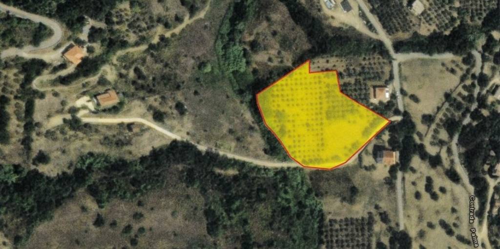 terreno agricolo in vendita a Perdifumo