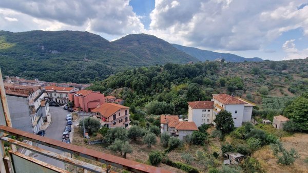 appartamento in vendita a Piaggine