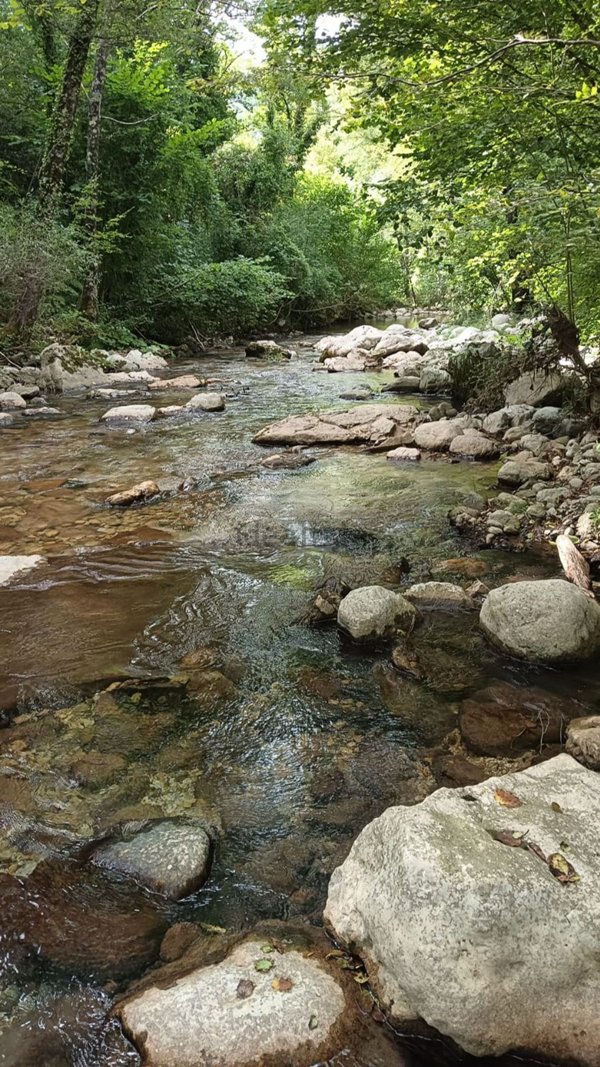 casa indipendente in vendita a Piaggine