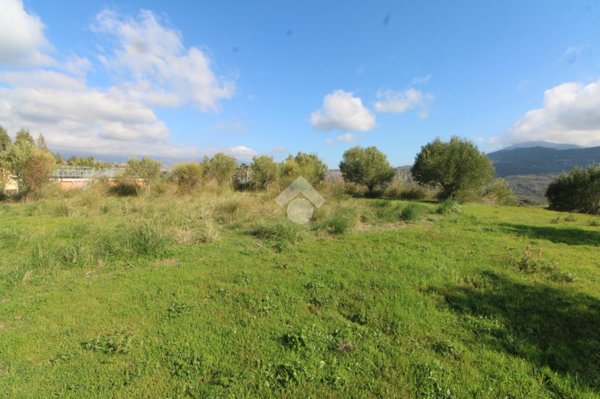 terreno agricolo in vendita a Pisciotta in zona Caprioli