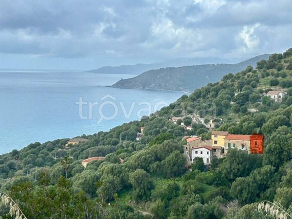 appartamento in vendita a Pisciotta