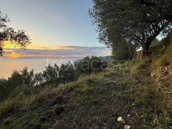 terreno agricolo in vendita a Pisciotta