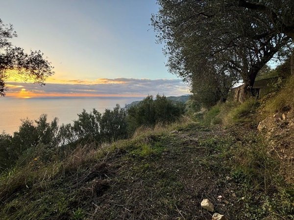 terreno edificabile in vendita a Pisciotta