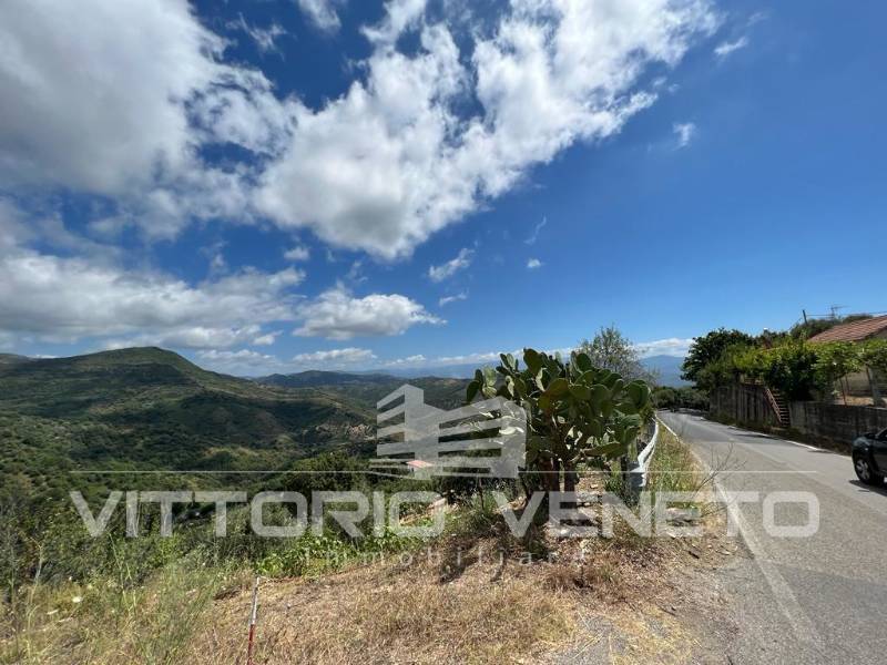terreno agricolo in vendita a Pollica in zona Acciaroli