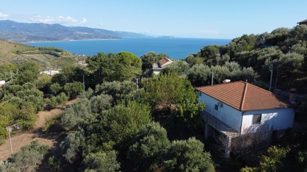 pentavano in vendita a Pollica in zona Pioppi