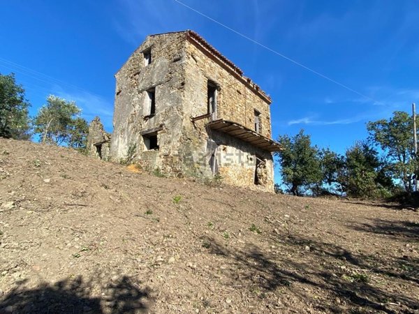 esavano in vendita a Pollica in zona Acciaroli