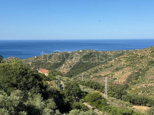 appartamento in vendita a Pollica in zona Cannicchio