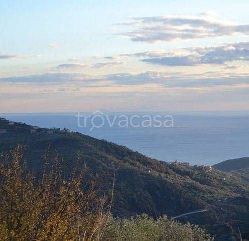 terreno agricolo in vendita a Pollica
