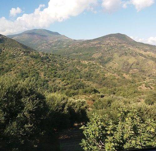 appartamento in vendita a Pollica in zona Acciaroli