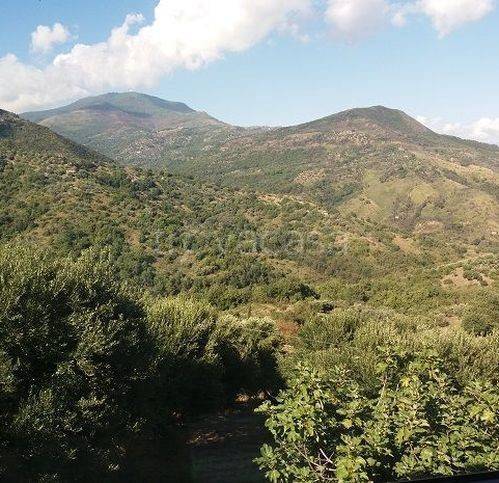 appartamento in vendita a Pollica in zona Acciaroli