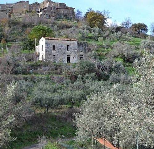 appartamento in vendita a Pollica