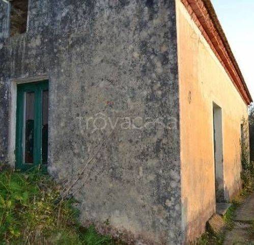 terreno agricolo in vendita a Pollica in zona Cannicchio