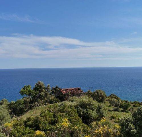 casa indipendente in vendita a Pollica in zona Pioppi