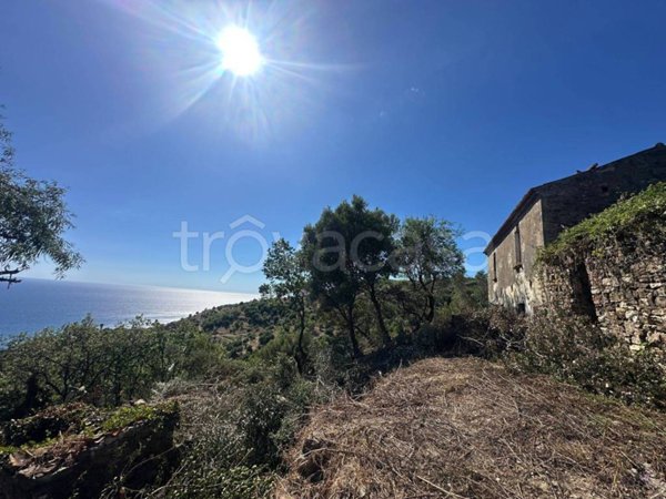 terreno agricolo in vendita a Pollica in zona Acciaroli