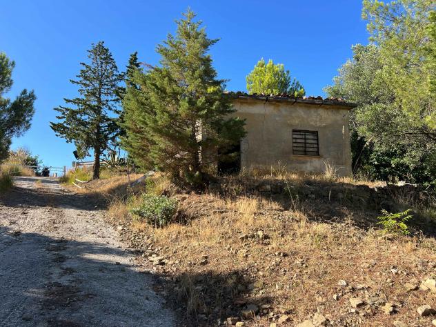 casa indipendente in vendita a Pollica in zona Cannicchio