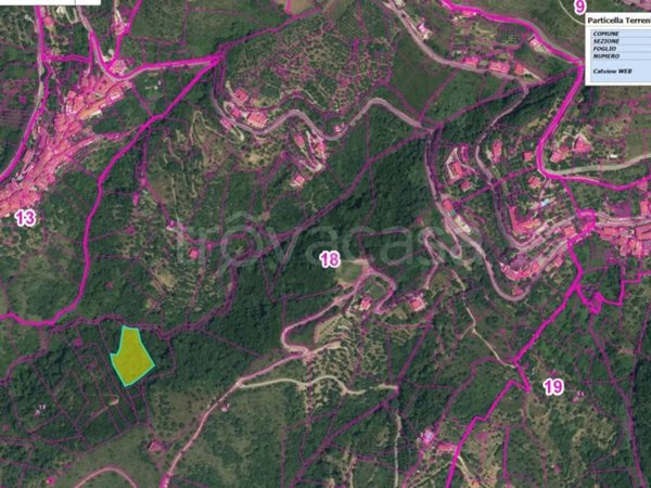 terreno agricolo in vendita a Pollica in zona Cannicchio