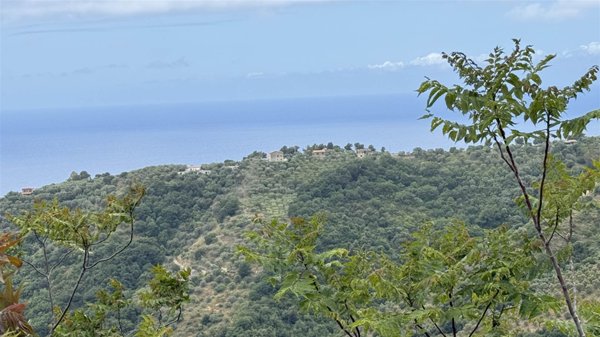 appartamento in vendita a Pollica in zona Cannicchio