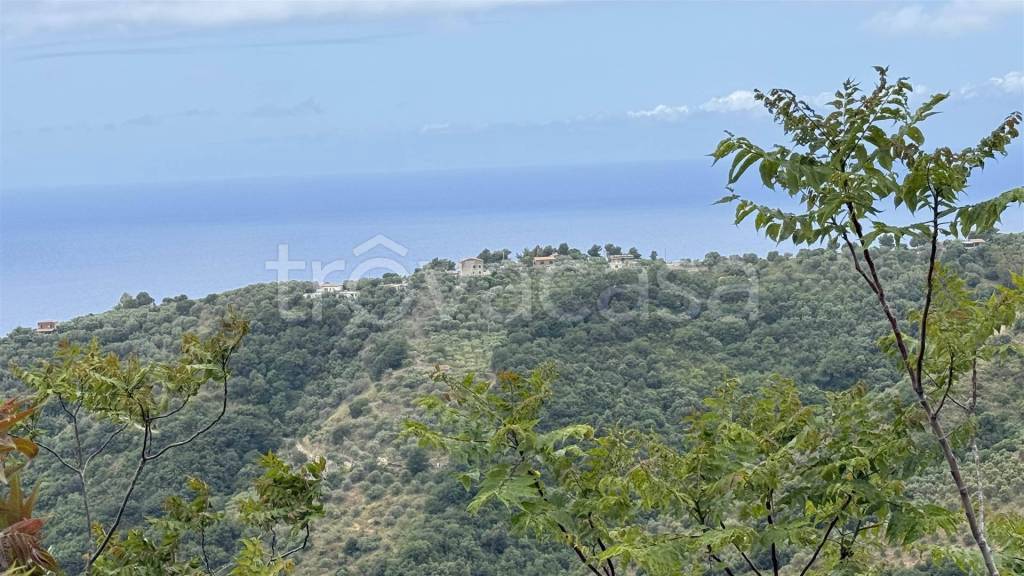 appartamento in vendita a Pollica in zona Cannicchio
