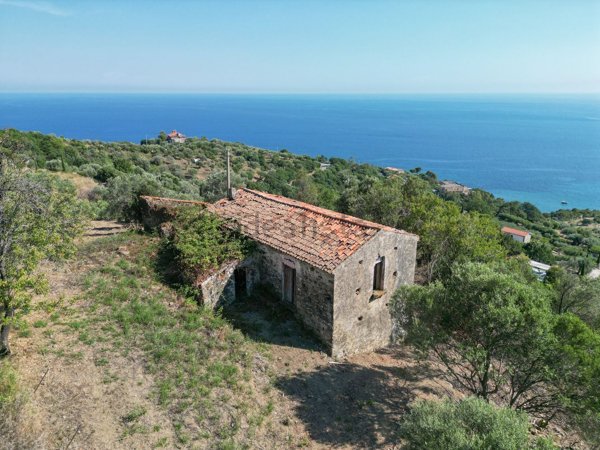 terreno agricolo in vendita a Pollica in zona Acciaroli