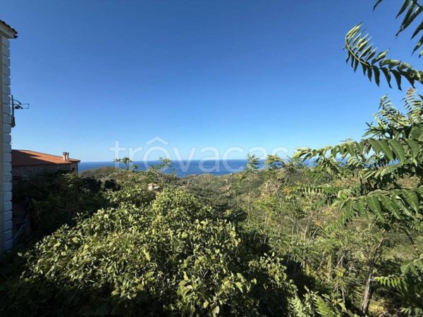 terreno agricolo in vendita a Pollica in zona Acciaroli