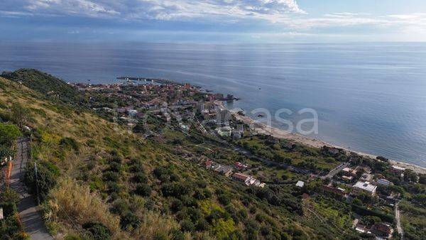 terreno agricolo in vendita a Pollica in zona Acciaroli
