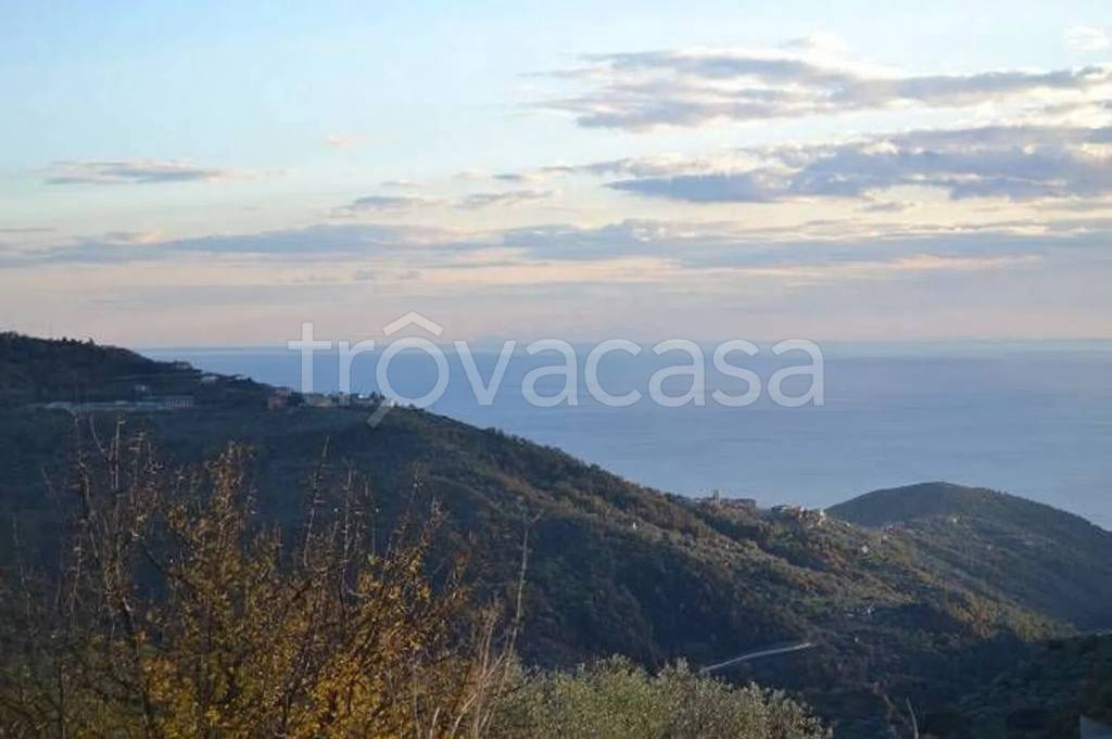 terreno agricolo in vendita a Pollica