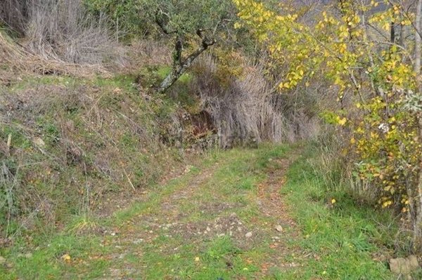 casale in vendita a Pollica in zona Pioppi