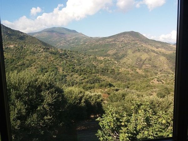 appartamento in vendita a Pollica in zona Pioppi