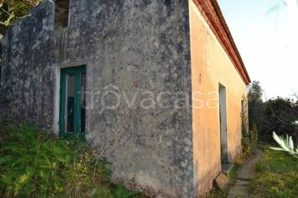 terreno agricolo in vendita a Pollica in zona Cannicchio