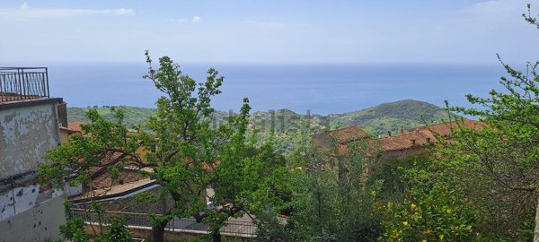 casa indipendente in vendita a Pollica