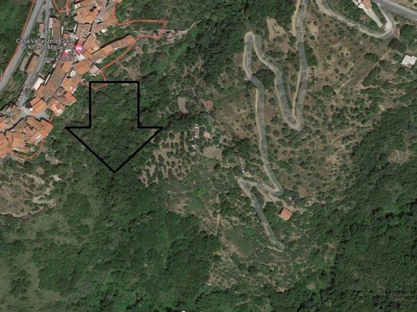 terreno agricolo in vendita a Pollica in zona Cannicchio