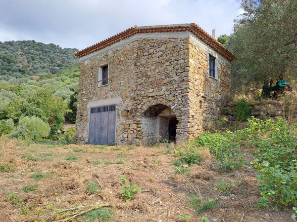 casa indipendente in vendita a Pollica in zona Celso
