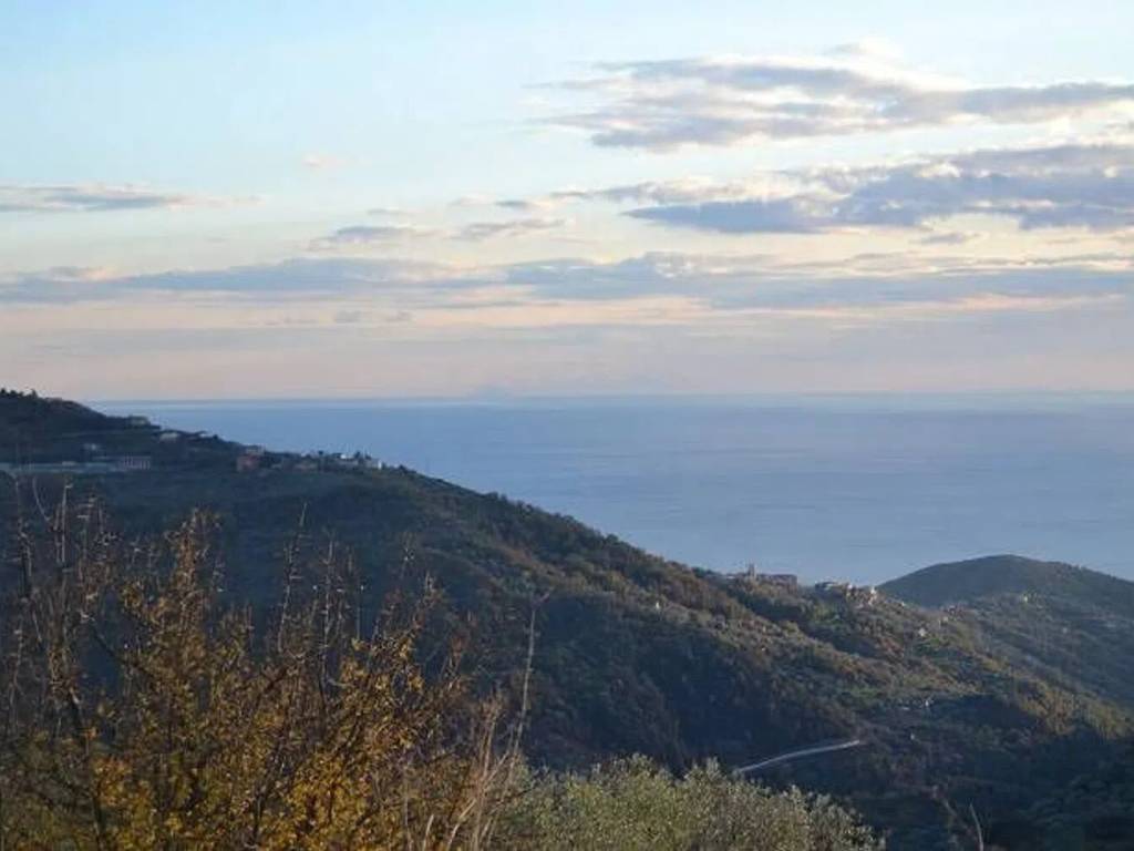 terreno agricolo in vendita a Pollica in zona Pioppi
