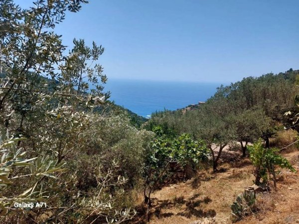 casa indipendente in vendita a Pollica in zona Pioppi