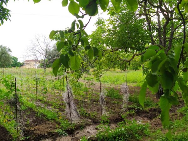 casa indipendente in vendita a Pontecagnano Faiano