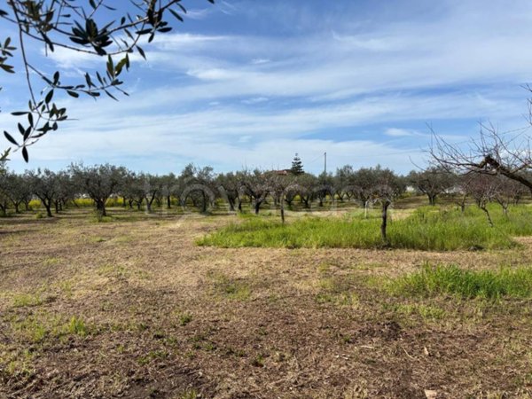 terreno agricolo in vendita a Pontecagnano Faiano